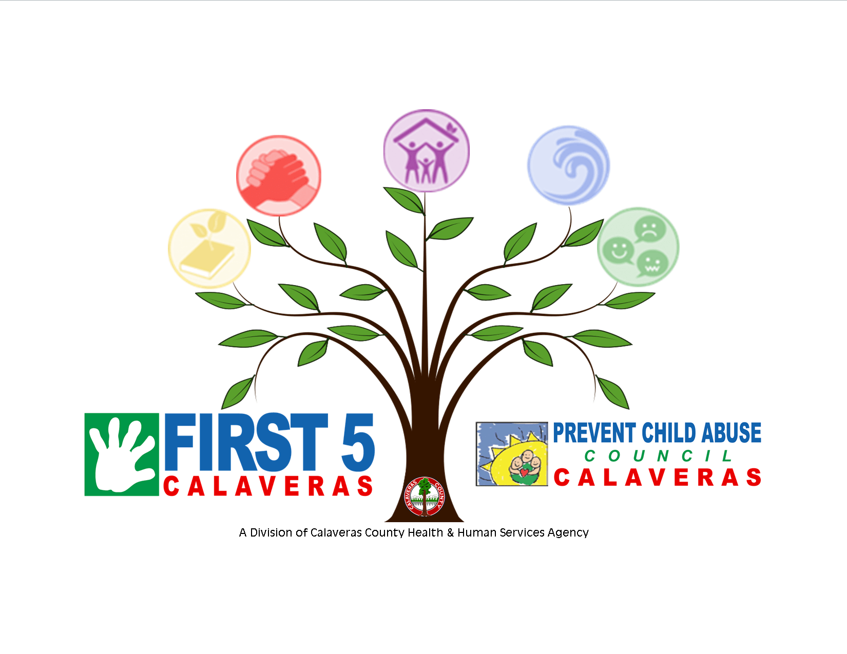 SFCalaveras_5PF_tree_image_by_Amy Eaves SFCalaveras_5PF_tree_image_by_Amy Eaves